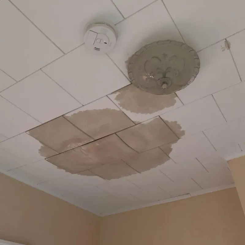 Ceiling Water Damage Repair in Inverness Highlands South, FL